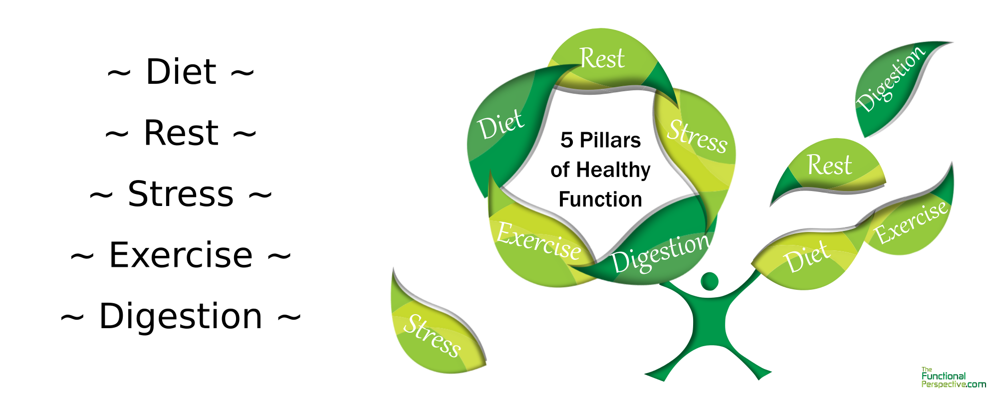 5 Pillars to Healthy Function - Diet - Rest - Stress Management - Exercise - Proper Digestion